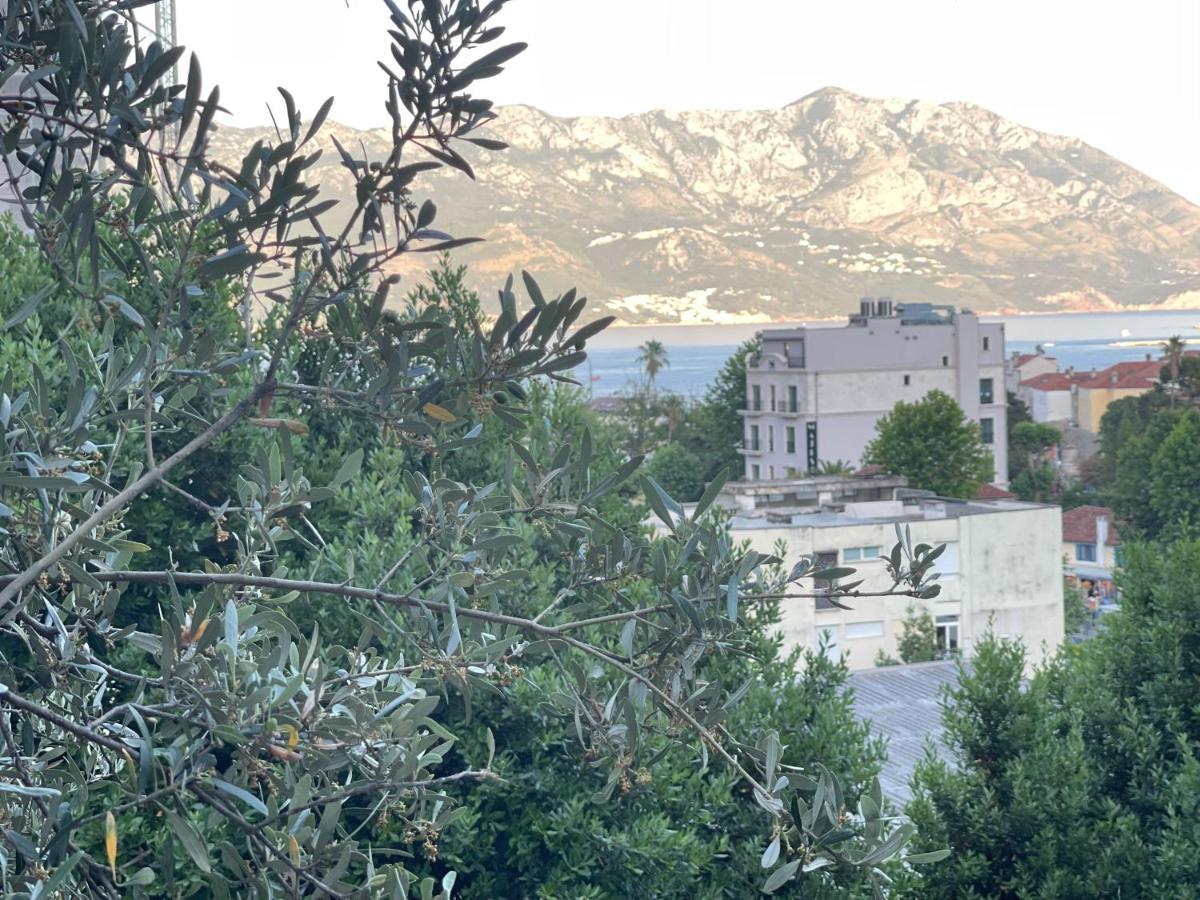 Sea View Apartments Milo Μπούντβα Εξωτερικό φωτογραφία